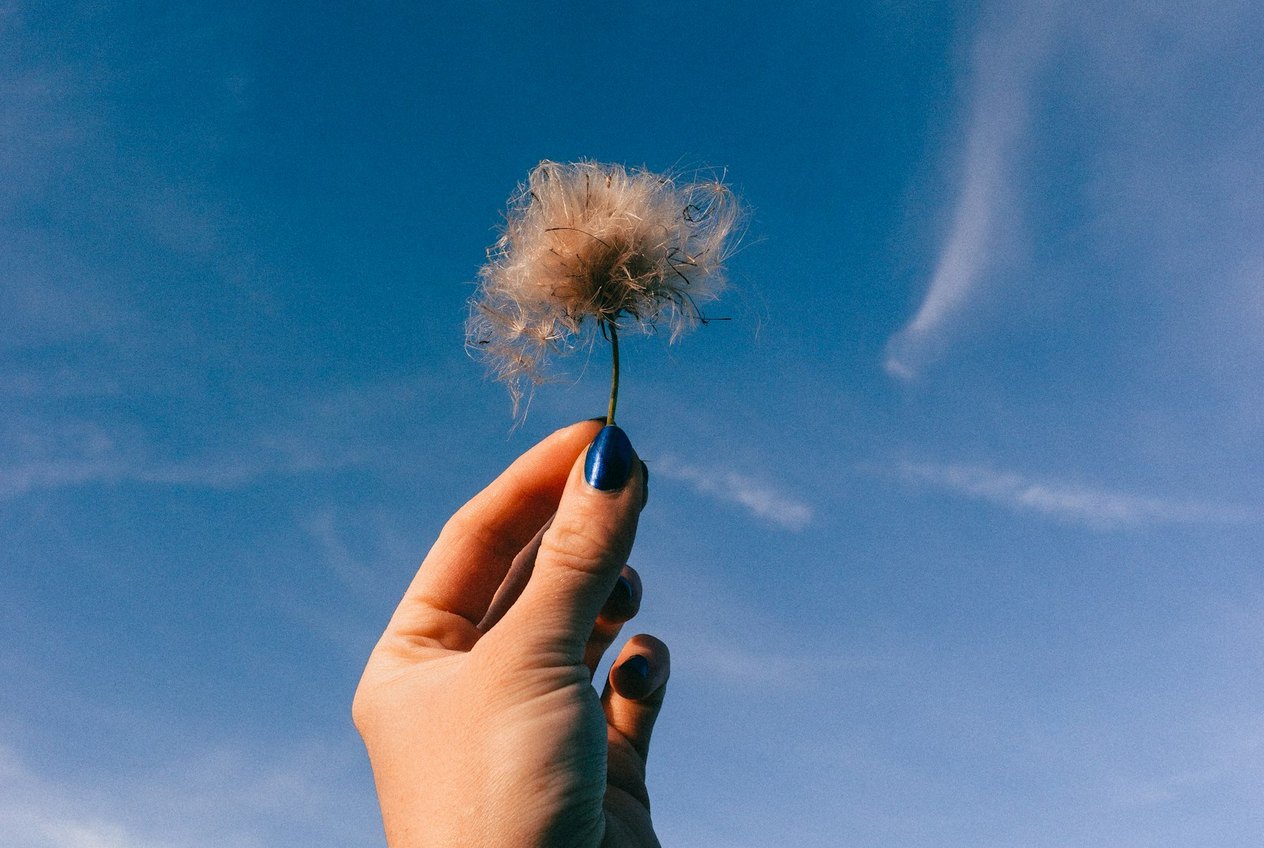 Psychological Flexibility & ACT Therapy in Chicago