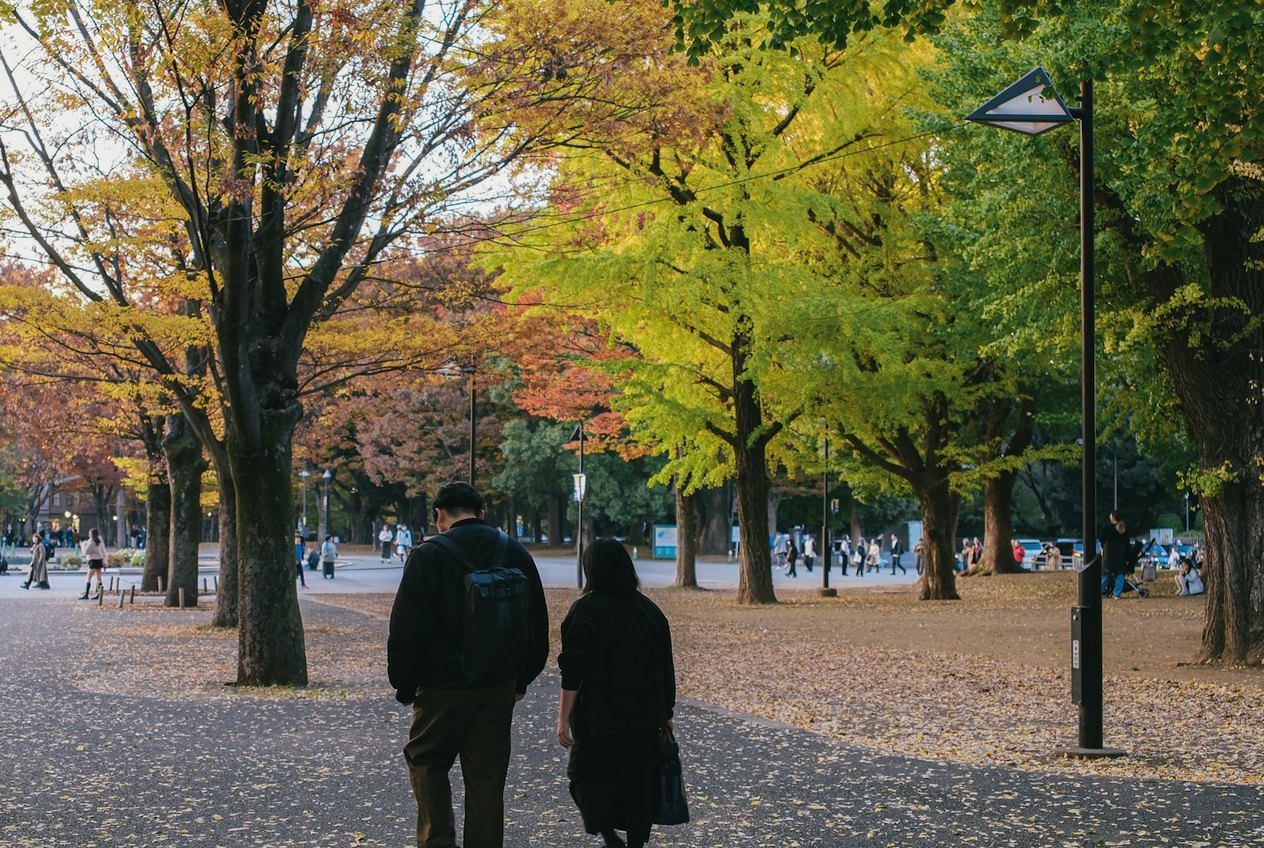 Dear Therapist, We Used to Get Along, but Something Changed: A Relationship Scenario