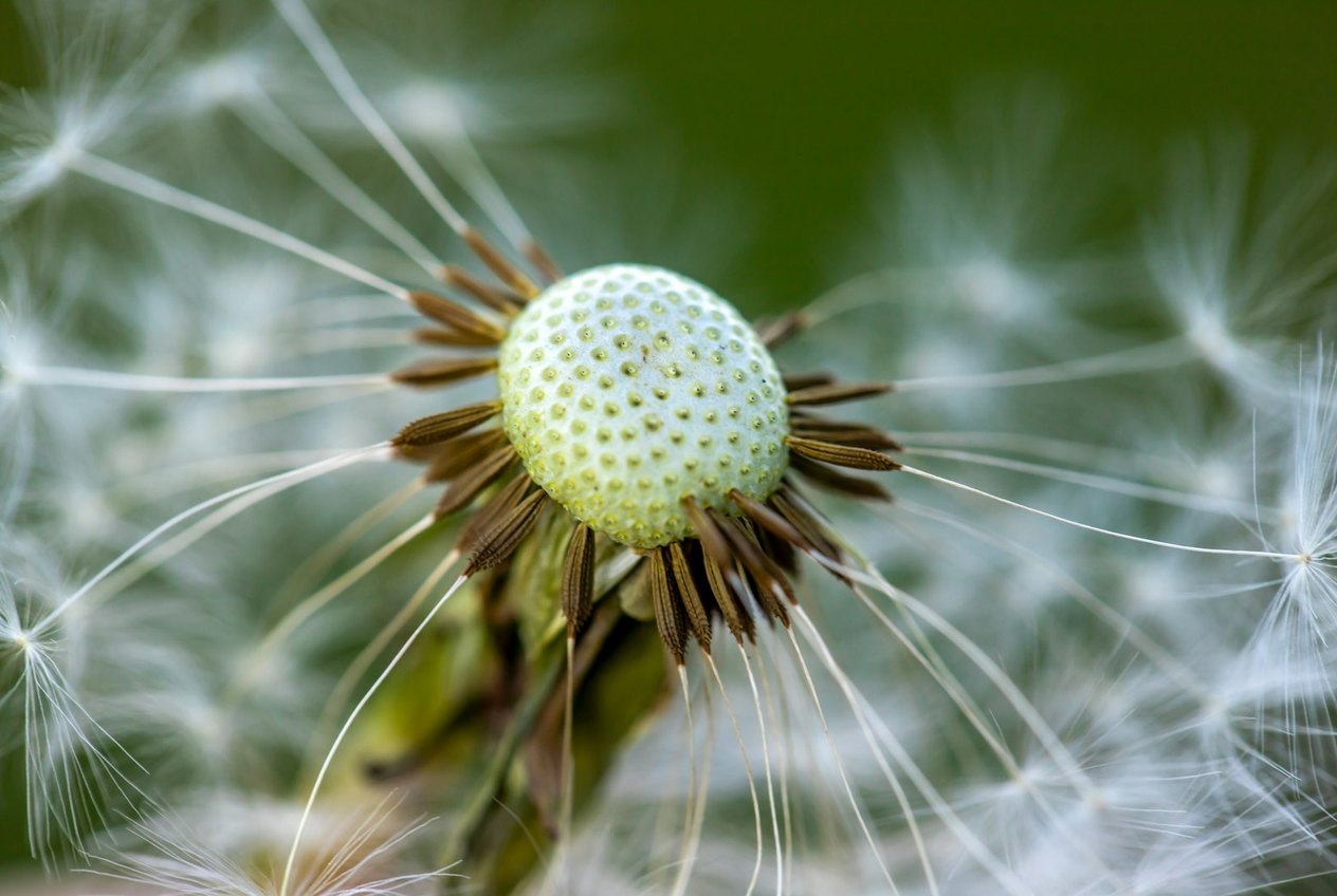 The Beauty of Letting Go of Outcomes
